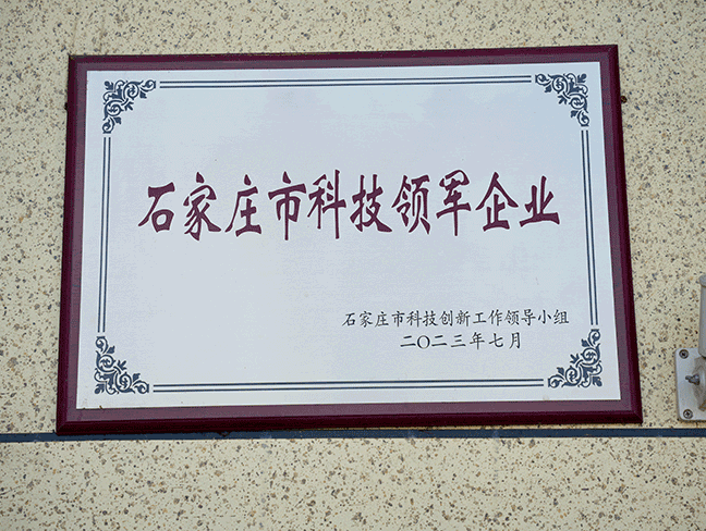 石家庄市科技领军企业-市科技创新工作辅导幼组202307.png